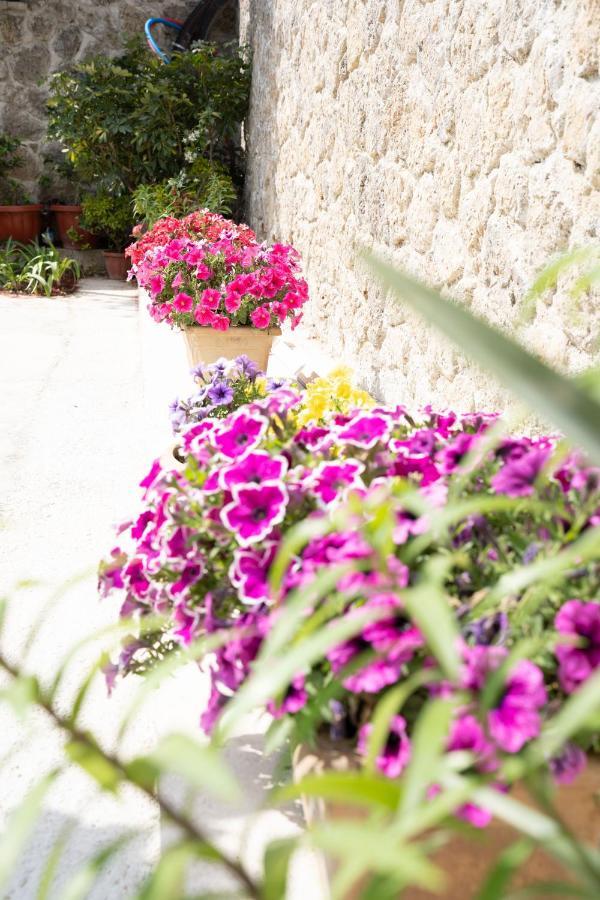 La Bella Vita - Luxury Holiday House Close To Corfu Town Potamós 外观 照片